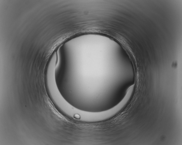 X0000115620389200912011619