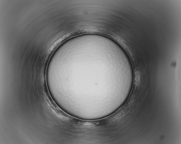 X0000115620390200912011619