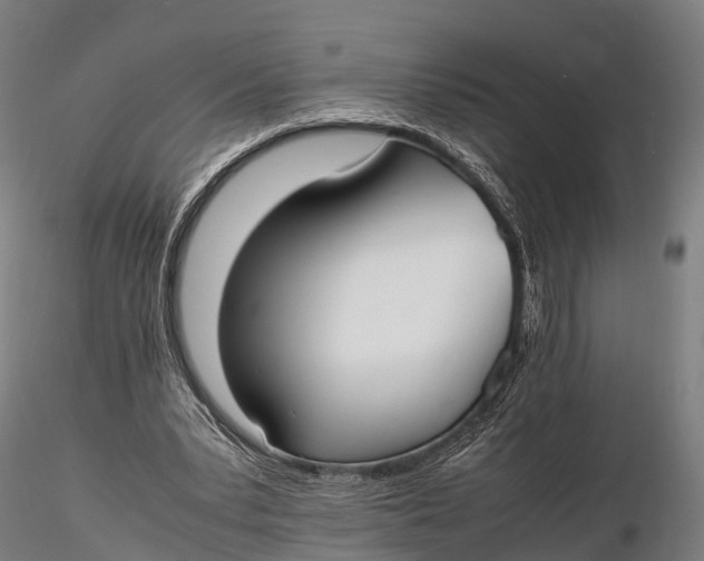 X0000115620391200912011619