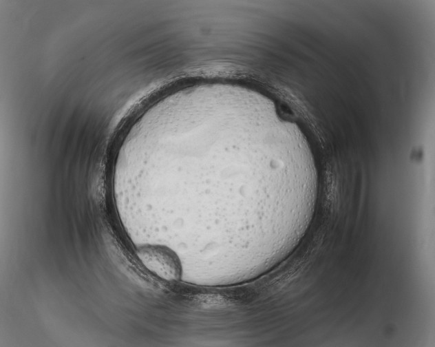 X0000115620392200912011619