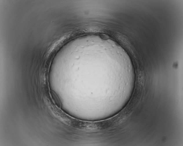 X0000115620395200912011619