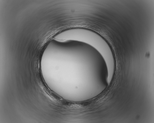 X0000115620397200912011619