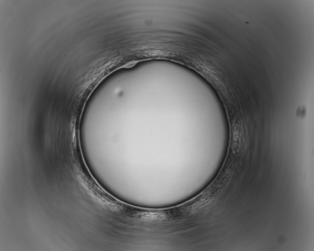 X0000115620398200912011619