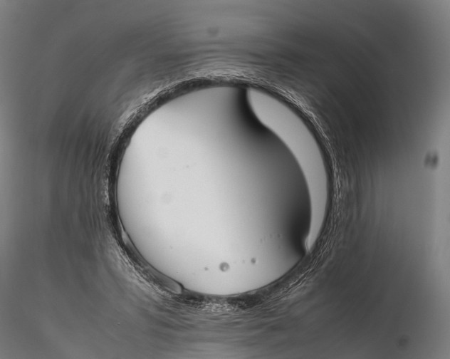 X0000115620399200912011619