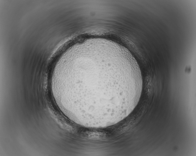 X0000115620400200912011619