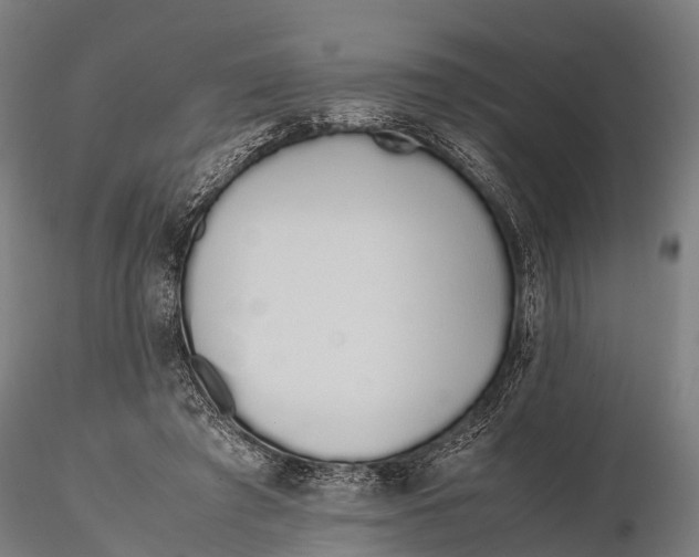 X0000115620401200912011619