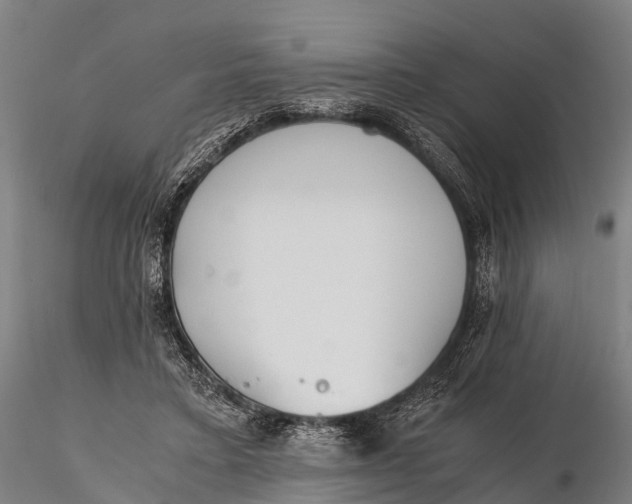 X0000115620403200912011619