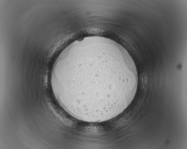 X0000115620404200912011619