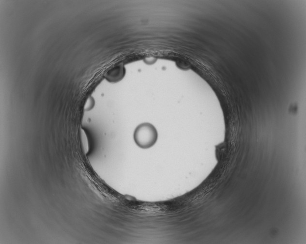 X0000115620405200912011619