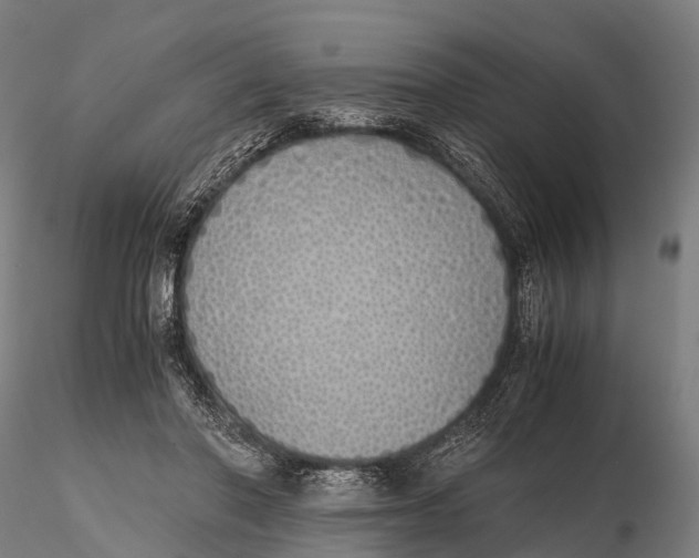 X0000115620406200912011619