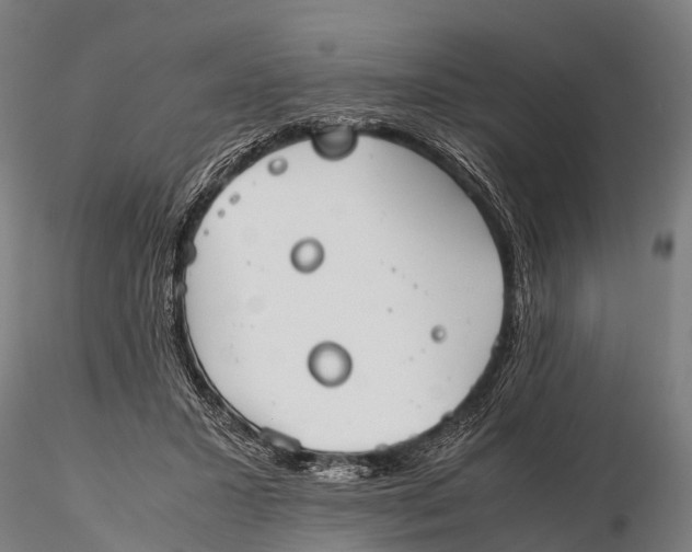 X0000115620407200912011619