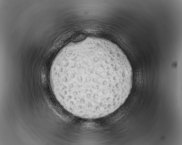 X0000115620408200912011619