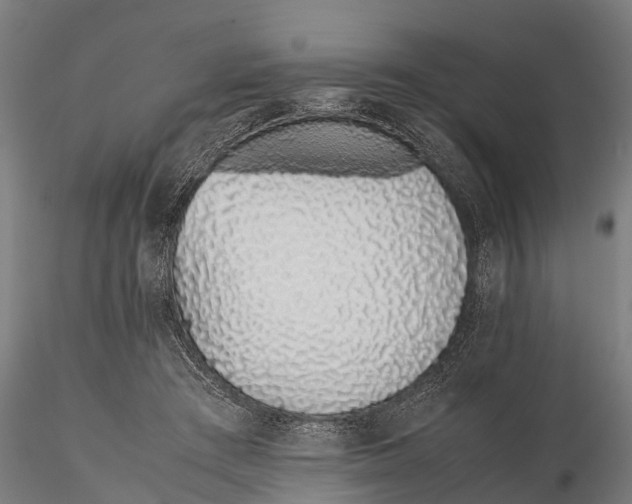 X0000115620409200912011619