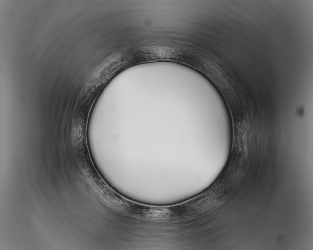 X0000115620410200912011619