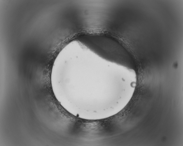 X0000115620411200912011619