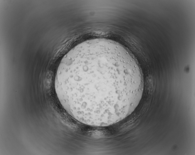 X0000115620412200912011619