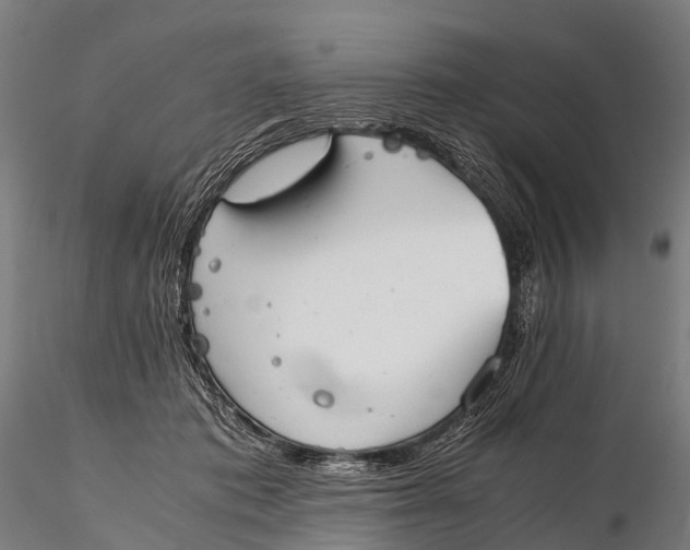 X0000115620413200912011619