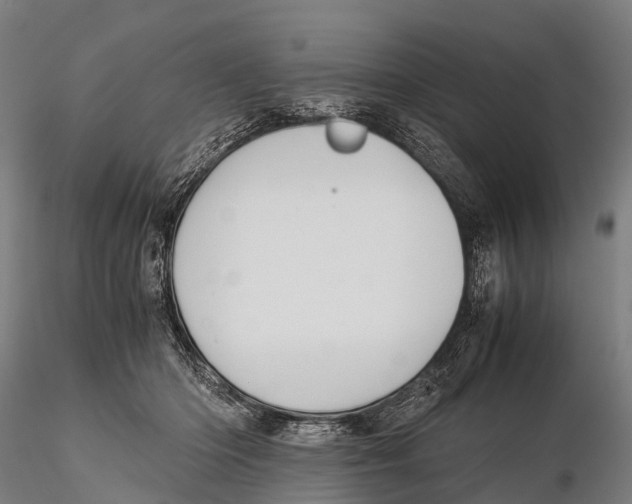 X0000115620414200912011619