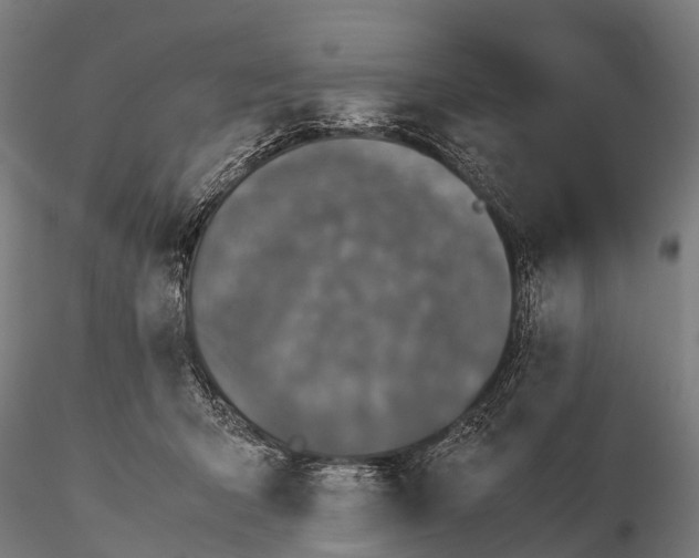 X0000115620415200912011619