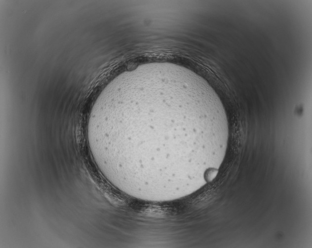 X0000115620416200912011619