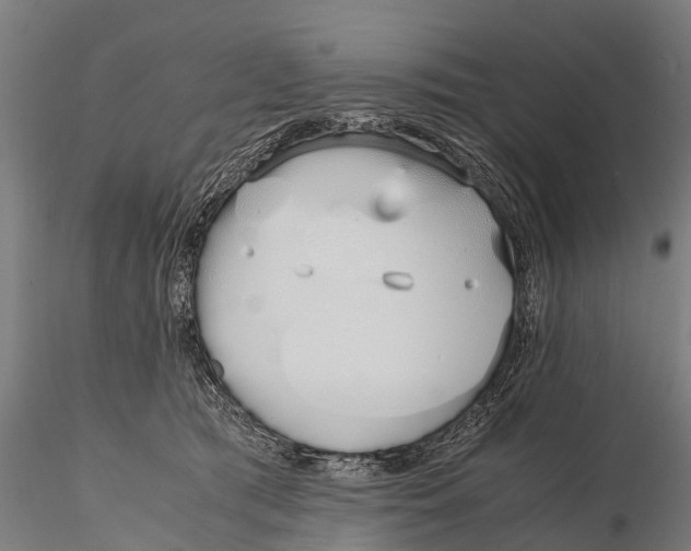 X0000115620417200912011619