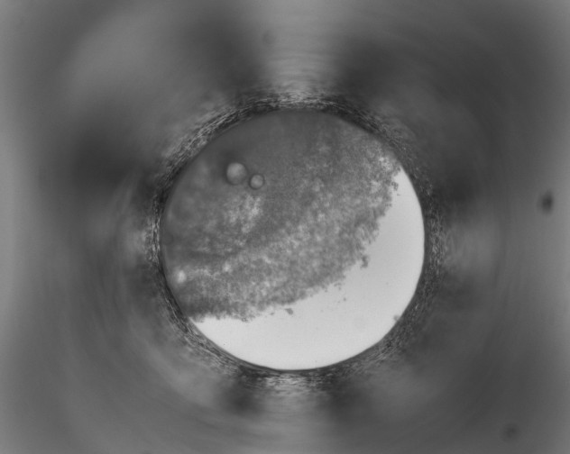 X0000115620419200912011619