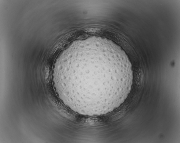 X0000115620420200912011619