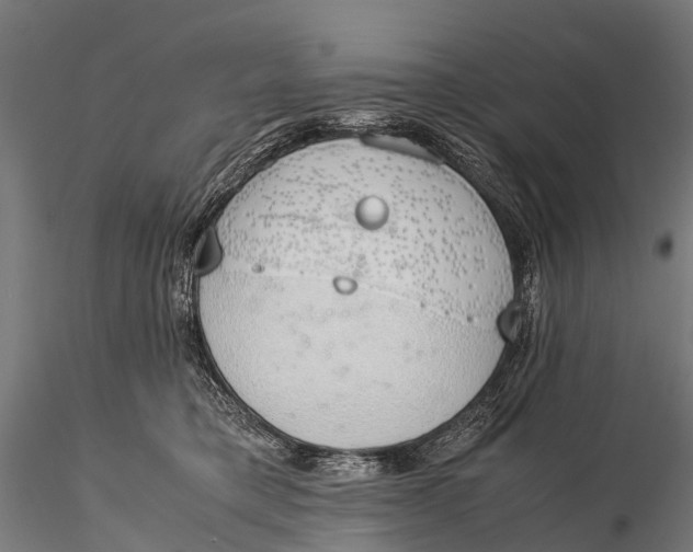 X0000115620421200912011619