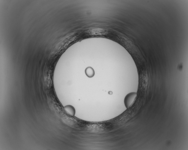 X0000115620422200912011619