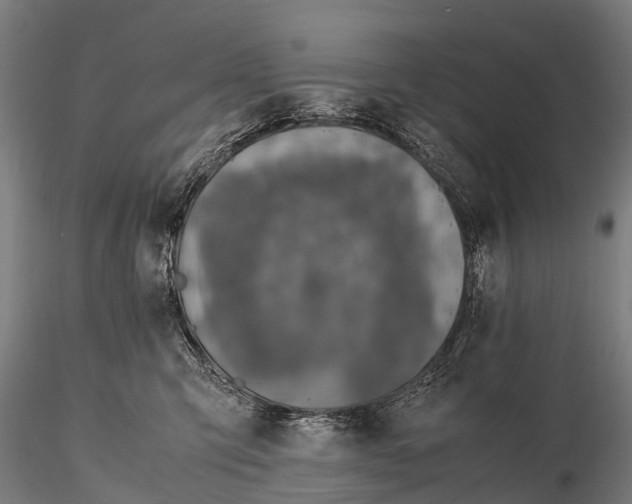 X0000115620423200912011619