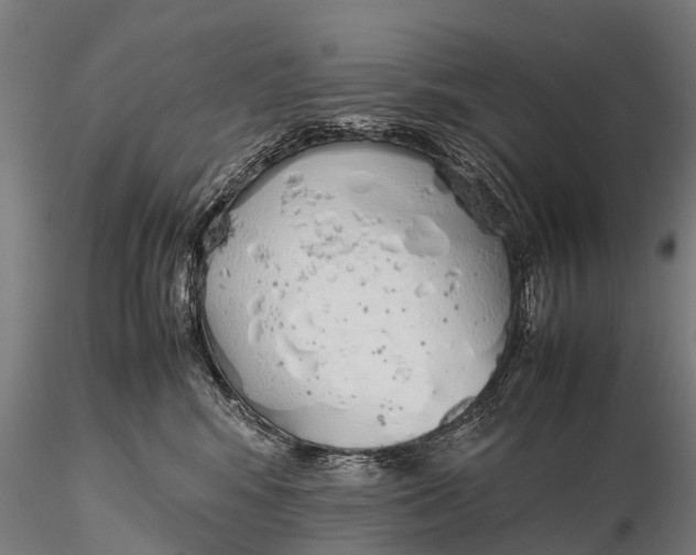 X0000115620424200912011619