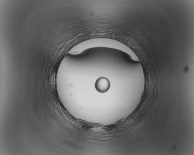 X0000115620425200912011619