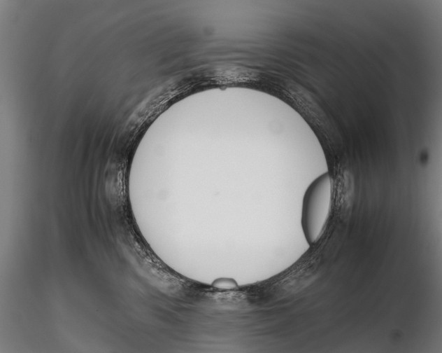 X0000115620426200912011619