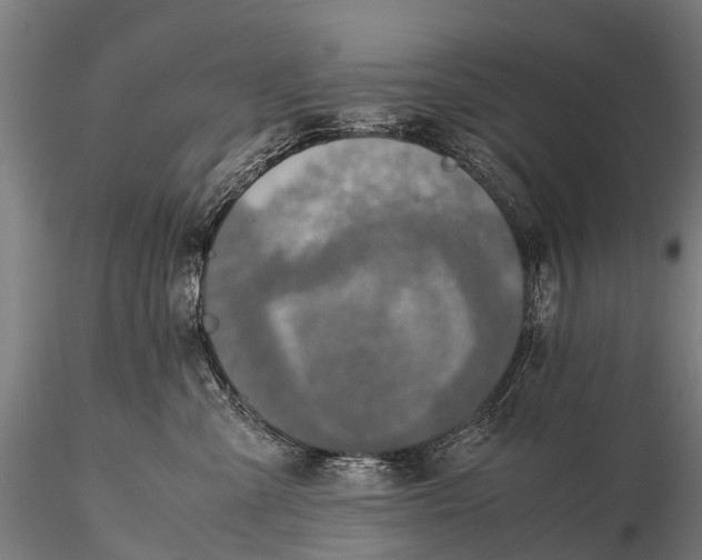 X0000115620427200912011619