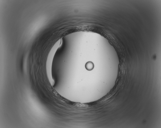 X0000115620429200912011619