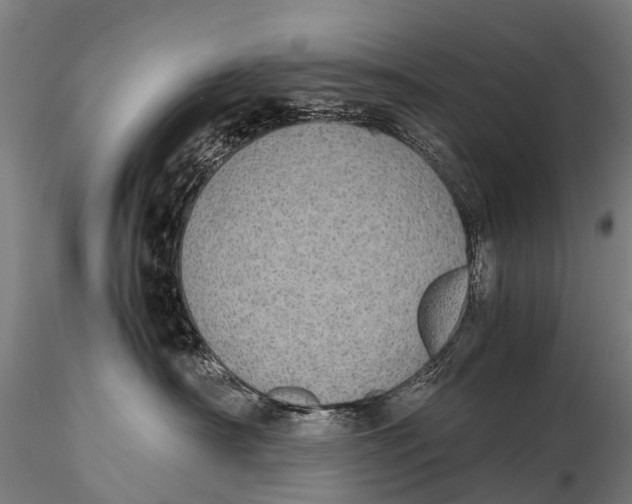 X0000115620430200912011619