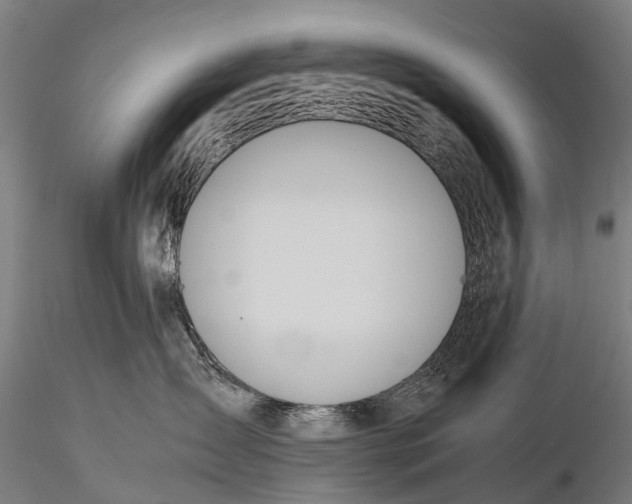 X0000115620431200912011619