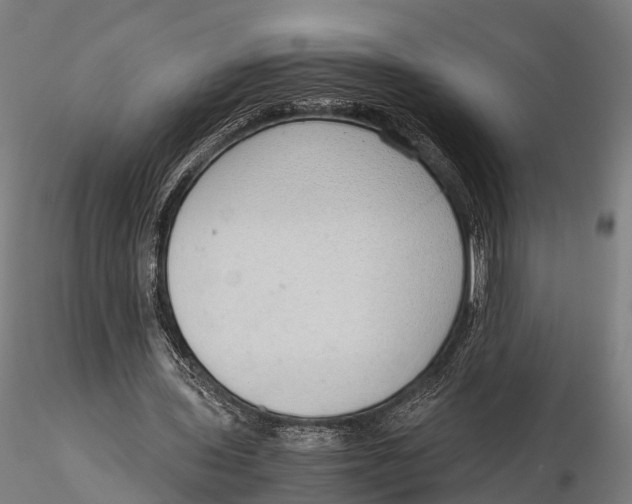 X0000115620435200912011618