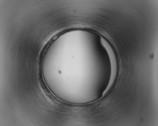 X0000115620436200912011618