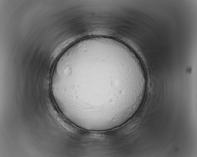 X0000115620437200912011618