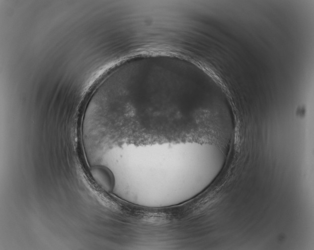 X0000115620438200912011618