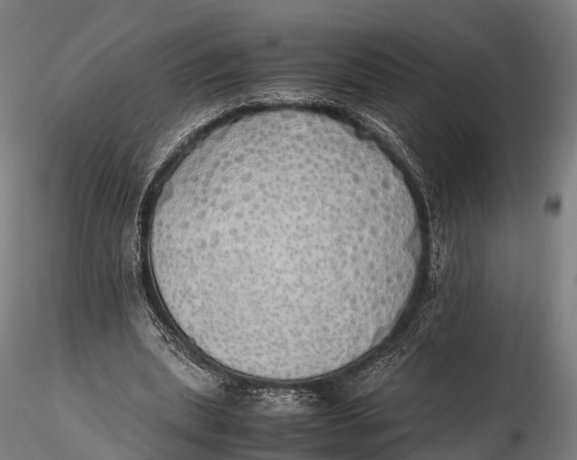 X0000115620439200912011618