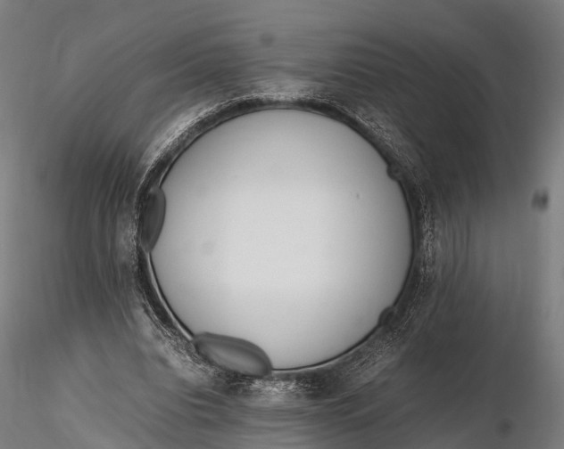 X0000115620440200912011618