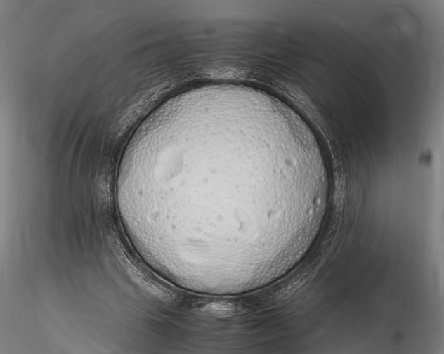 X0000115620441200912011618