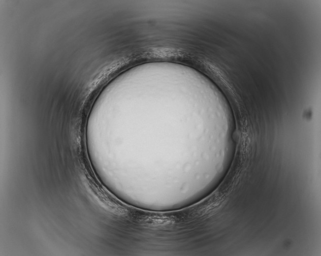 X0000115620443200912011618