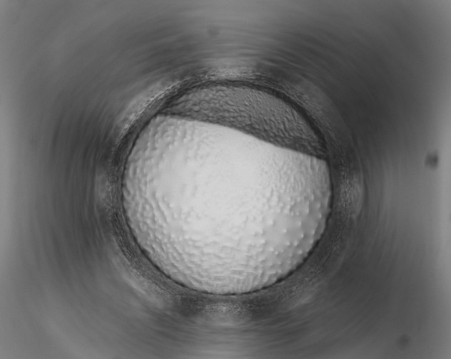 X0000115620444200912011618