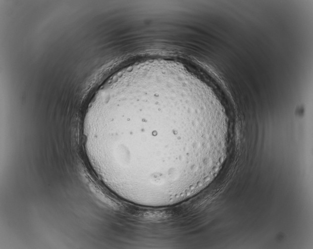 X0000115620445200912011618