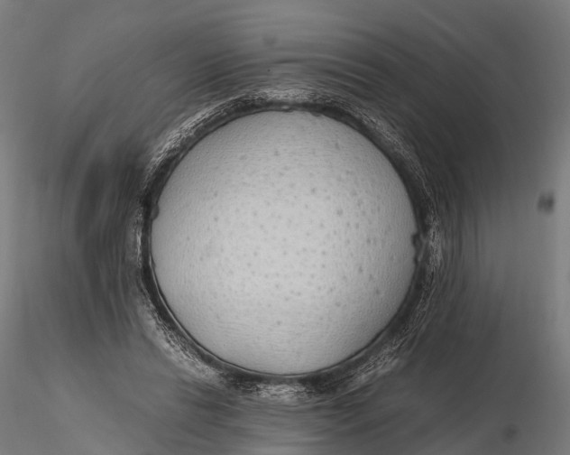 X0000115620446200912011618