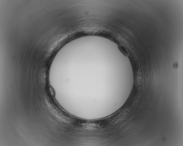 X0000115620448200912011618