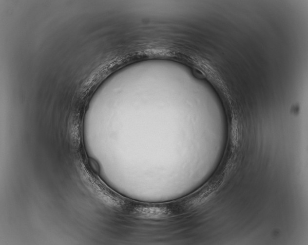 X0000115620449200912011618